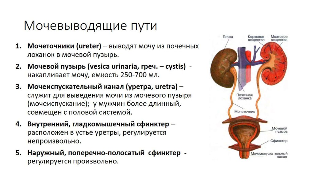 Что значит ao в текстурах