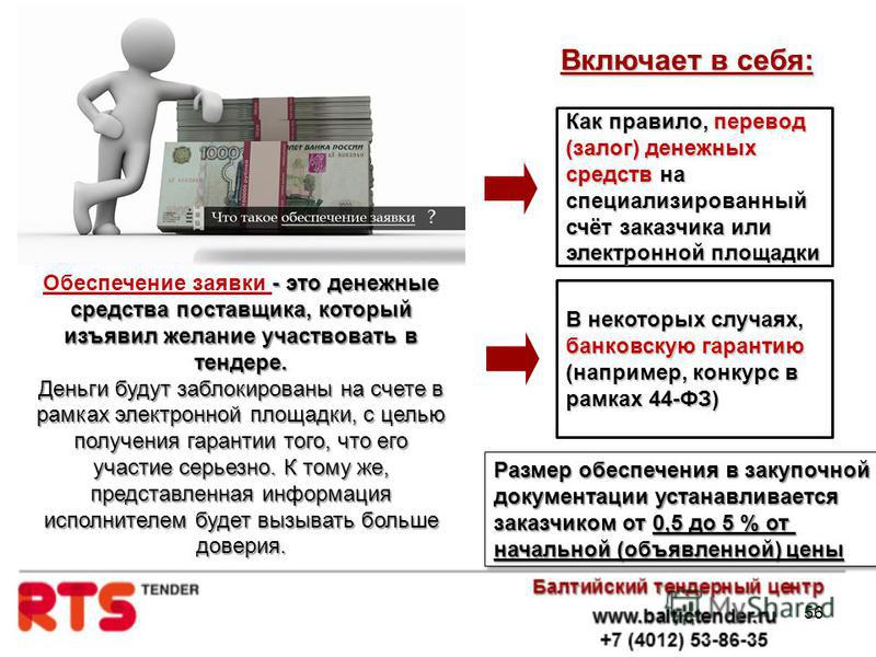 Тендер это. Обеспечение заявки. Обеспечение тендера. Обеспечение заявки на участие в аукционе. Обеспечение заявки по 223 ФЗ.