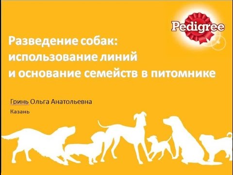 Разведение собак на продажу бизнес план