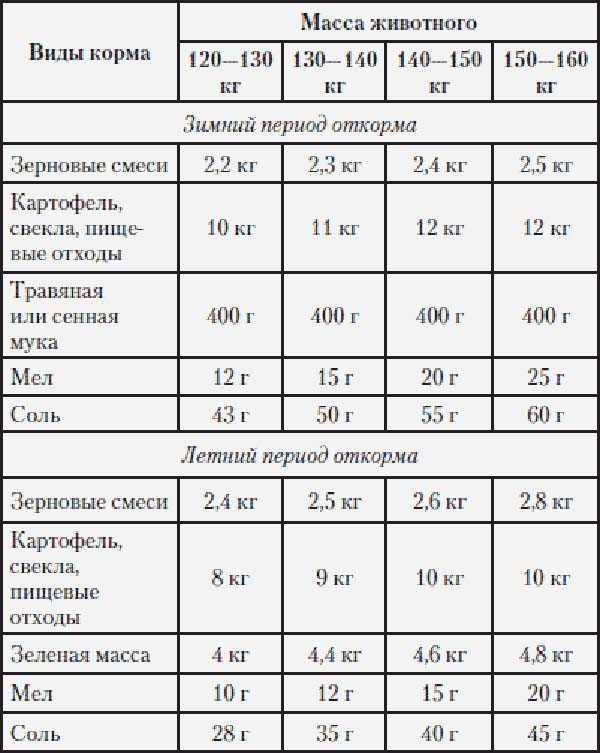 Бизнес план по разведению свиней